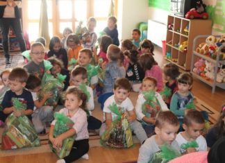 Miz Mostar Aktivnost