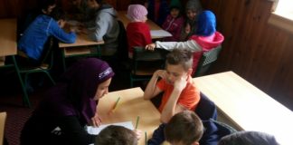 Miz Mostar Aktivnost