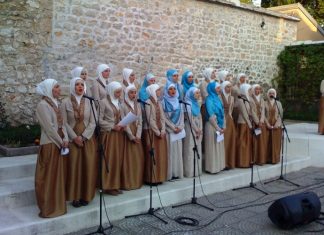 Miz Mostar Aktivnosti