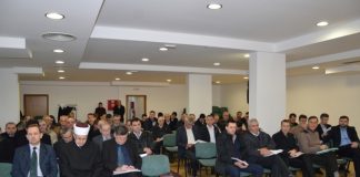 Miz Mostar Aktivnost
