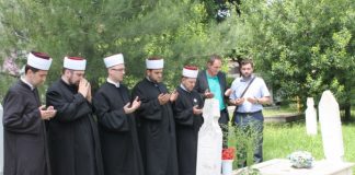 Miz Mostar Aktivnost