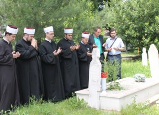Miz Mostar Aktivnost