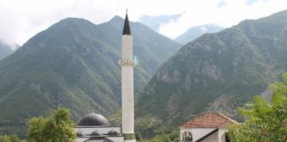 Miz Mostar Aktivnost