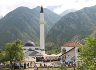 Miz Mostar Aktivnost