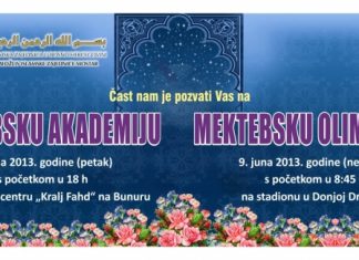 Miz Mostar Aktivnosti