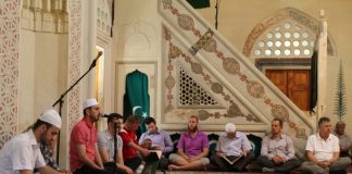 Miz Mostar Aktivnost