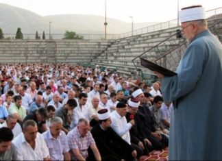 Miz Mostar Aktivnosti