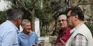 Miz Mostar Aktivnost