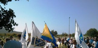 Miz Mostar Aktivnosti