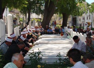 Miz Mostar Aktivnosti