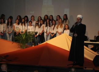 Miz Mostar Aktivnost