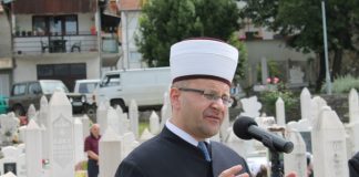 Miz Mostar Aktivnost