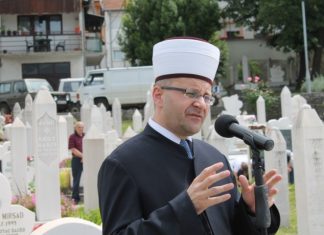 Miz Mostar Aktivnost