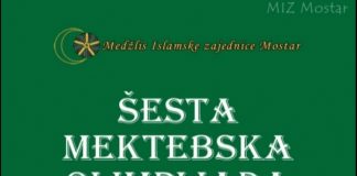 Miz Mostar Aktivnosti