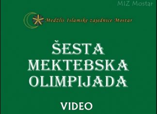 Miz Mostar Aktivnosti