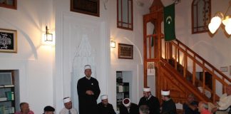 Miz Mostar Aktivnost
