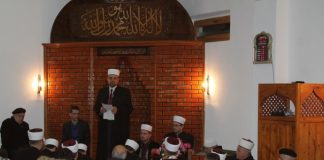 Miz Mostar Aktivnost