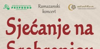 Miz Mostar Aktivnost