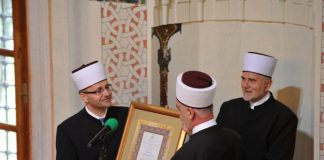 Miz Mostar Aktivnosti