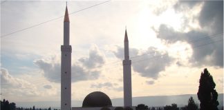 Miz Mostar Aktivnost