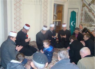 Miz Mostar Aktivnost