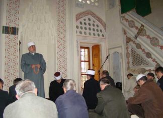 Miz Mostar Aktivnost