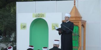 Miz Mostar Aktivnosti