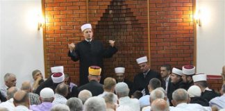 Miz Mostar Aktivnost