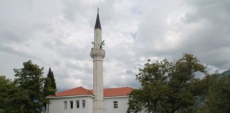 Miz Mostar Aktivnost