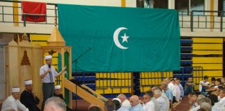 Miz Mostar Aktivnosti