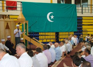 Miz Mostar Aktivnosti