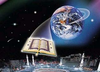 Miz Mostar Aktivnosti