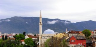 Miz Mostar Aktivnost