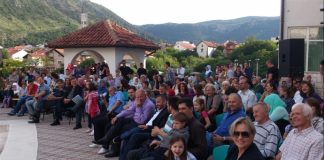 Miz Mostar Aktivnosti
