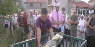 Miz Mostar Aktivnost