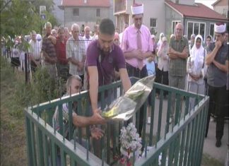 Miz Mostar Aktivnost