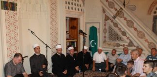 Miz Mostar Aktivnost