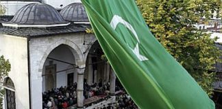 Miz Mostar Aktivnosti
