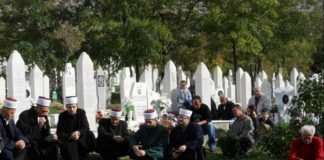 Miz Mostar Aktivnosti