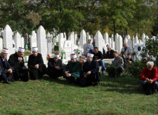 Miz Mostar Aktivnosti