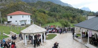 Miz Mostar Aktivnost