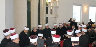 Miz Mostar Aktivnost