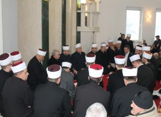 Miz Mostar Aktivnost