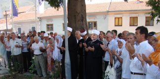 Miz Mostar Aktivnost