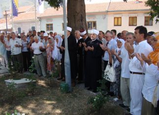 Miz Mostar Aktivnost