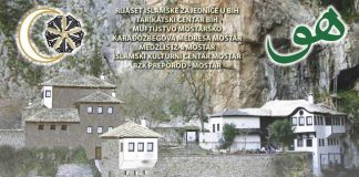 Miz Mostar Aktivnost