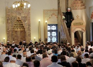 Miz Mostar Aktivnosti