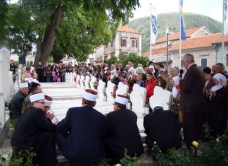 Miz Mostar Aktivnost