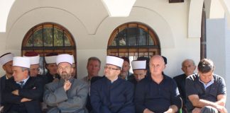 Miz Mostar Aktivnosti