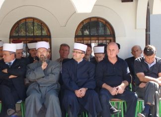 Miz Mostar Aktivnosti